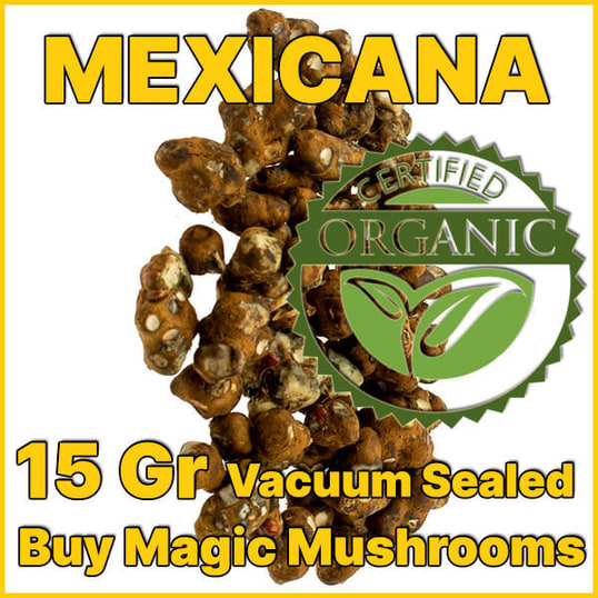 Psilocybe Mexicana magic truffle trip